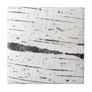 Padrão de latido de aves