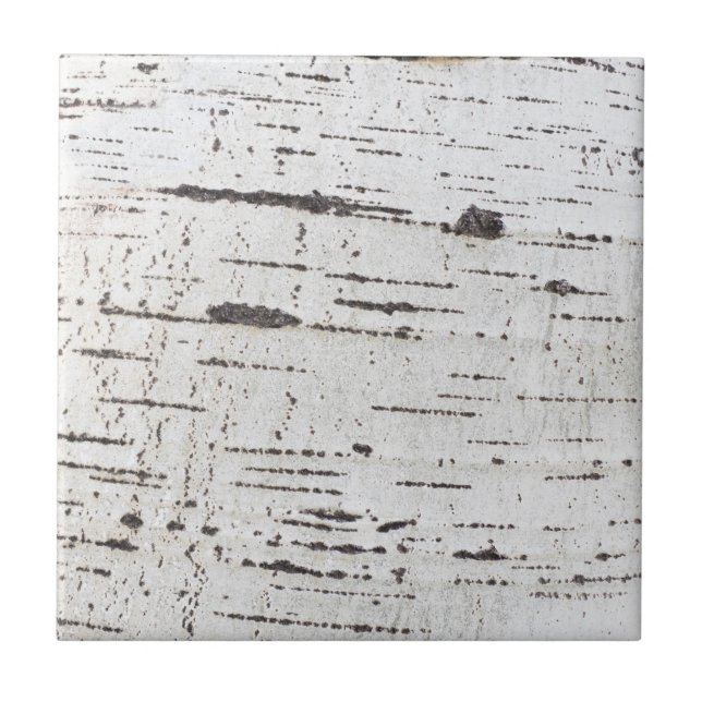 Padrão de latido de aves (Frente)