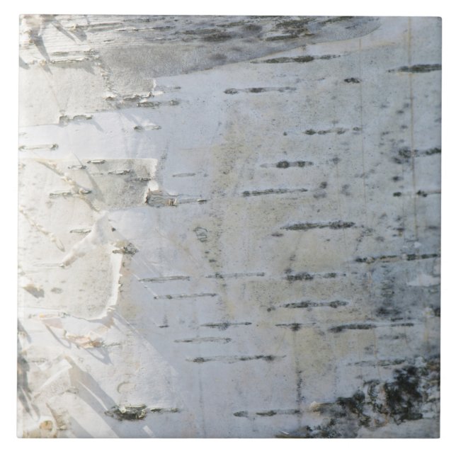 Padrão de latido de aves (Frente)