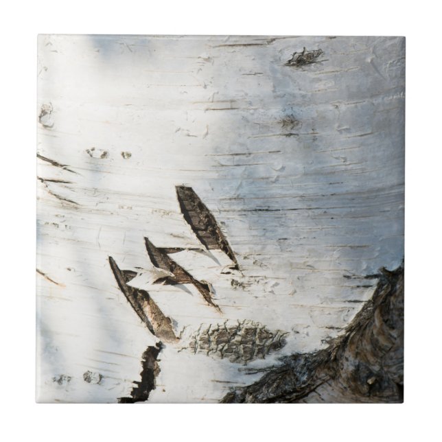 Padrão de latido de aves (Frente)