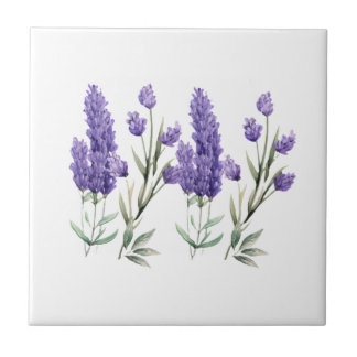 Padrão de Lavanda francês