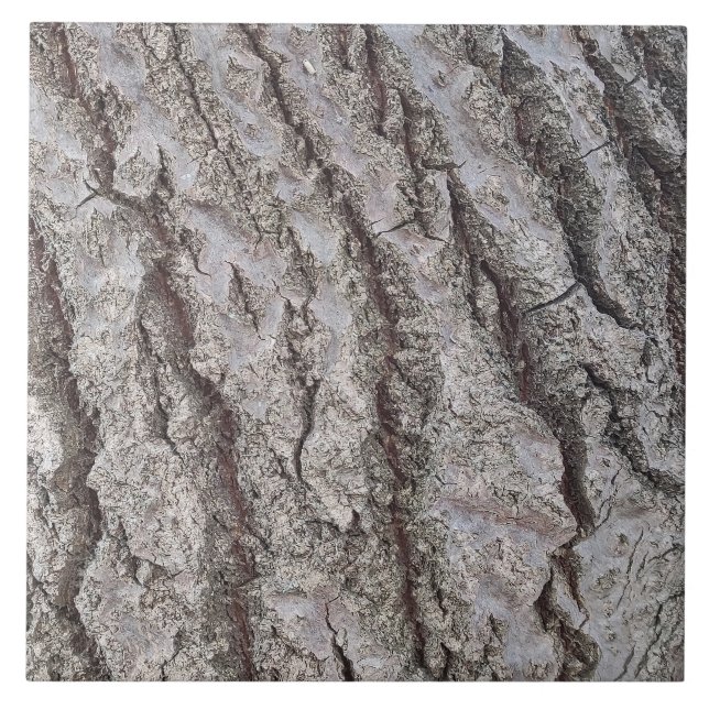 padrão de madeira de latido (Frente)