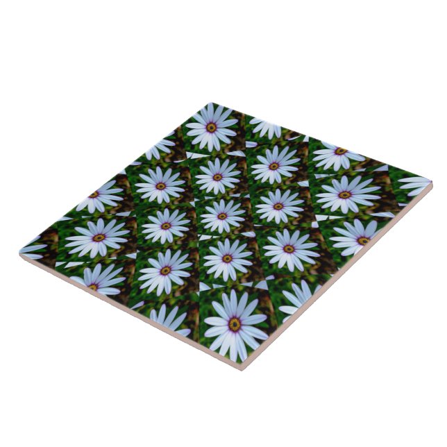Padrão de margarida branca (Lateral)