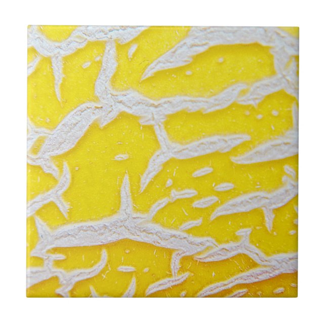Padrão de melão amarelo (Frente)