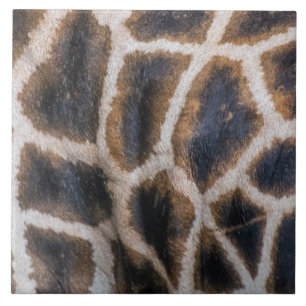 Padrão de pele de Girafa em azulejo cerâmico próxi