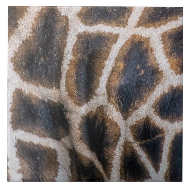 Padrão de pele de Girafa em azulejo cerâmico próxi (Frente)