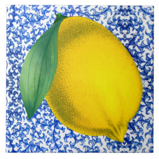 Padrão de Porcelana Branco Lemon Blue