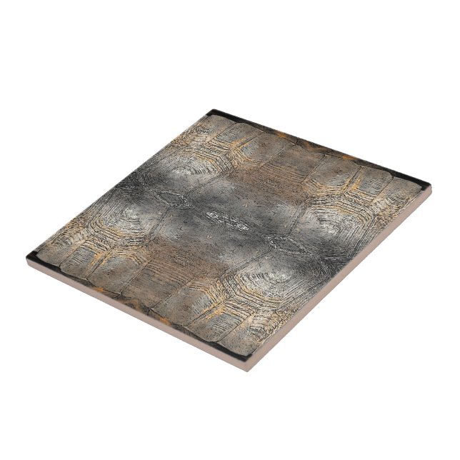 Padrão de Shell de Tortoise Gopher (Lateral)