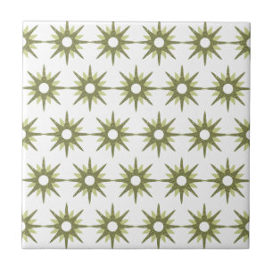 Padrão de Starburst Verde e Branco moderno do sécu