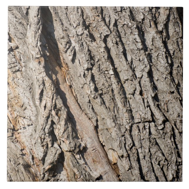 Padrão de tronco antigo (Frente)