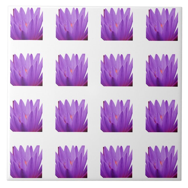 Padrão de Tulip (Frente)