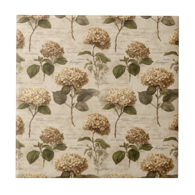 Padrão Floral Botânico Vintage (1) (Frente)