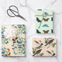 Padrão floral de borboletas cor-de-rosa verde