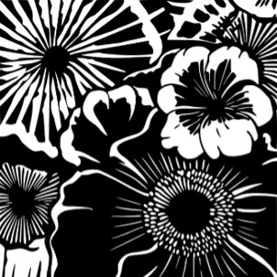 Padrão Floral Preto Branco Estética Botânica Ousad