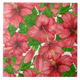Padrão hibiscus vermelho II