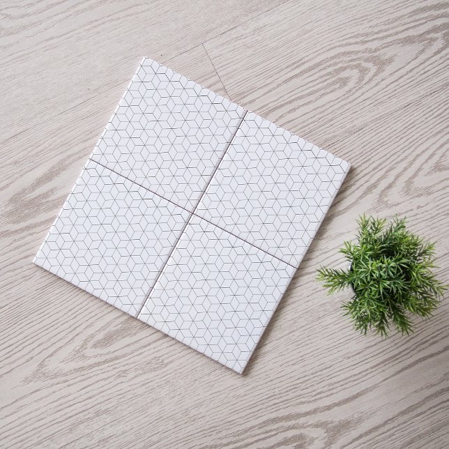 Padrão Isométrico Moderno Preto e Branco (Criador carregado)