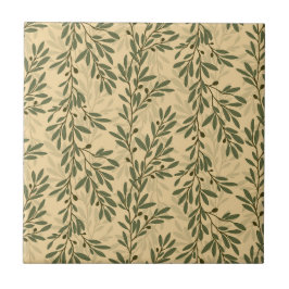 Padrão mediterrânico do ramo de oliveiras verdes