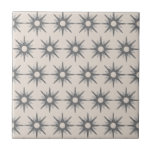 Padrão moderno do médio século de estoque de prata<br><div class="desc">design de inspiração moderna do século médio com padrão de estouro retrorado prateado. Design simples e limpo moderno. Um design de uma coleção coordenadora. Crie seu próprio padrão personalizado carregando uma nova imagem ou use o botão "mensagem" para entrar em contato com o designer para obter ajuda. Para criar seu...</div>