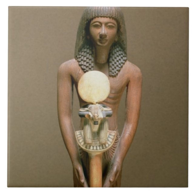 Padrão-portador com padrão RAM-dirigido (cariob w (Frente)