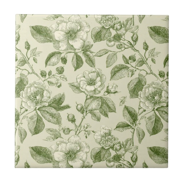 Padrão Toile Botânico Vintage Verde (Frente)