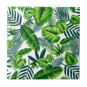 Padrão tropical
