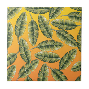 Padrão tropical