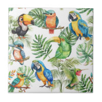Padrão tropical das aves de papagaio