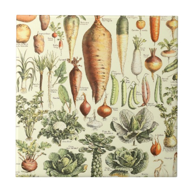 Padrão Vintage Cream Vegetables (Frente)