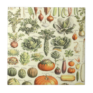 Padrão Vintage Cream Vegetables