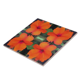 Padrões de Flor de Impatiens
