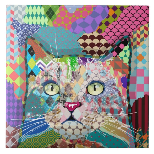 Padrões multicolor cat 671 (Frente)