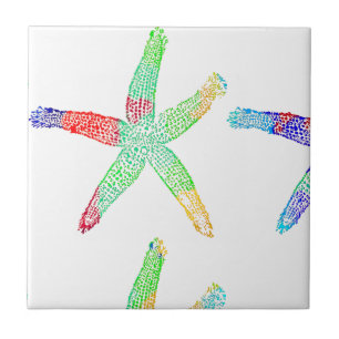 Padrões multicolores de Starfish Coastal Beach Mo