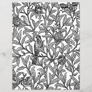 Página de Coloração de Adultos, Morris Bird e Pome