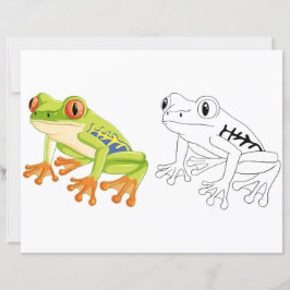 Página de coloração do sapo de desenho em branco