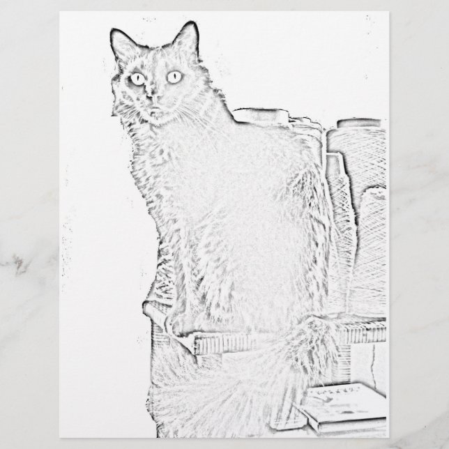 Página de Coloração - Gato com Colheres de Fios (Frente)