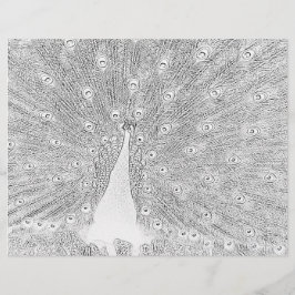 Página de Coloração - Pavão com Cauda Banida