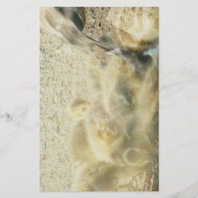 página de diário de arte de ganso com dupla exposi (Frente)