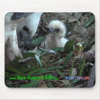 Pai com S2 Mousepad 5 horizontais