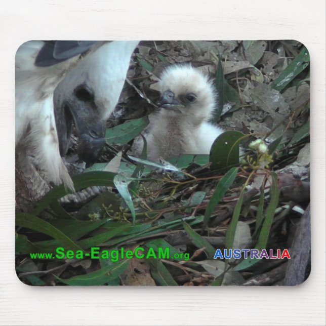 Pai com S2 Mousepad 5 horizontais (Frente)