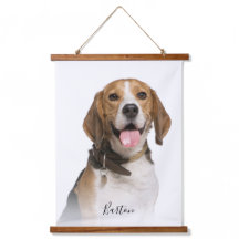 Pai de Beagle Dog Foto para Agregar Famílias