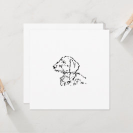 Pai/Mãe de Dachshund de Pelo Cabeludo