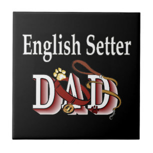 Pai Setter Inglês