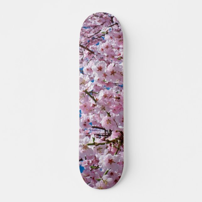 Painéis de skate de flores de cerejeira japonesa (Frente)