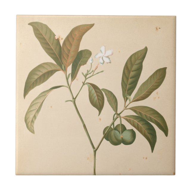 Painel I do Deco do Cobalto (Frente)