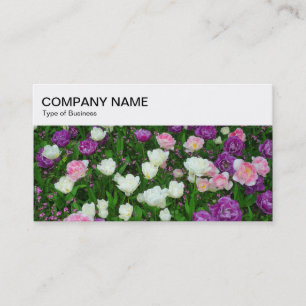 Painel superior - Cartão de visita das tulipas