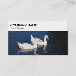 Painel superior - Cartão de visita Emden Geese