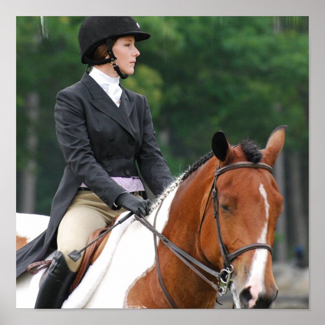 Paint Horse at Show Poster (Frente)