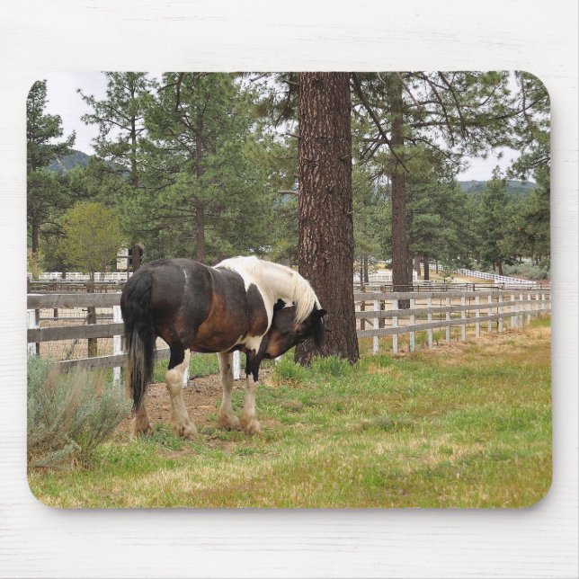 Paint Horse Mousepad (Frente)