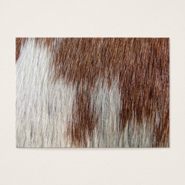 Paint Horse Pattern (Frente)