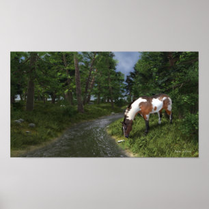 Paint Horse, Poster do Stream Forest